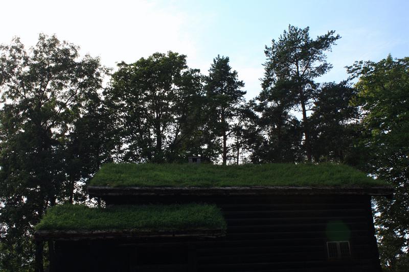 405-Oslo,26 agosto 2011.JPG